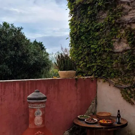 Domaine Du Prieure Avec Piscine Ancien Couvent & Presbytere Καρκασόν