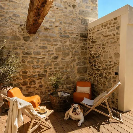 Domaine Du Prieure Avec Piscine Ancien Couvent & Presbytere * Καρκασόν